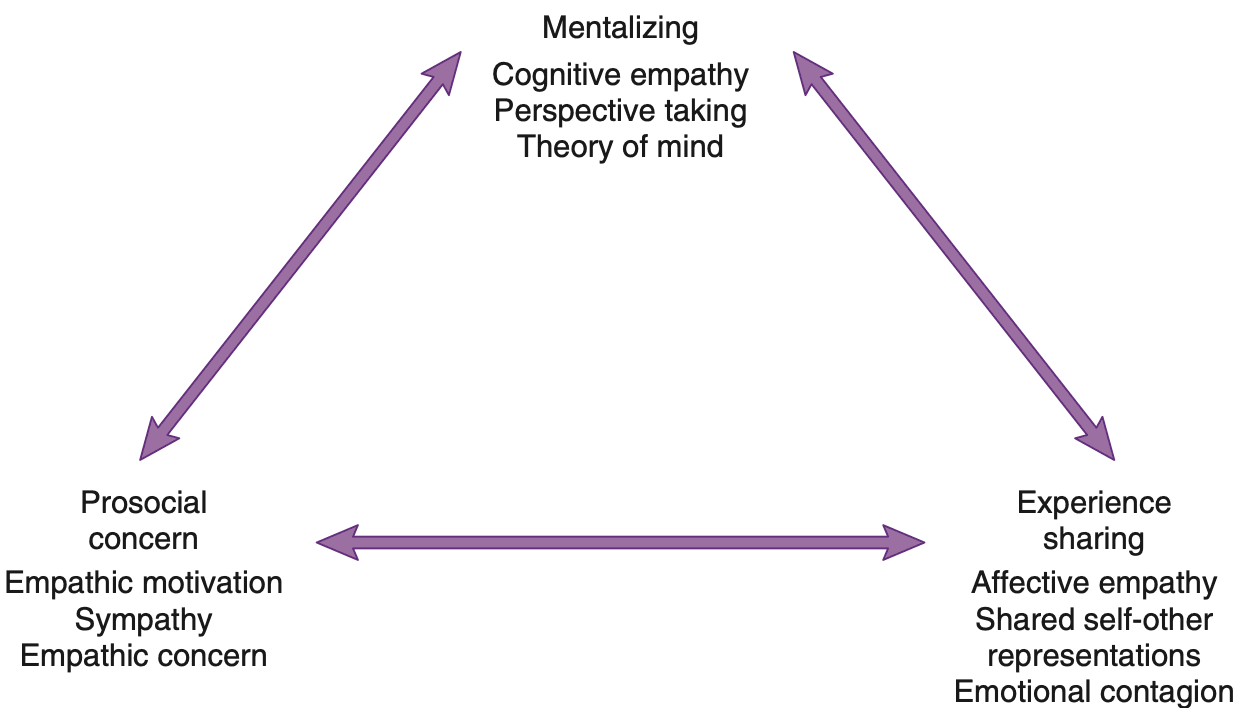 共情的神经科学与道德伦理