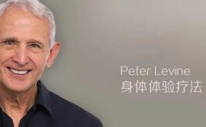 身体体验疗法（Somatic Experiencing, SE）创始人彼得·莱文（Peter Levine）访谈