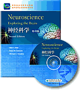 神经科学Neuroscience：Exp 