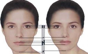 计算机生成的面孔进化